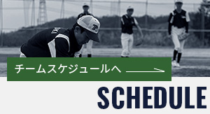 チームスケジュール